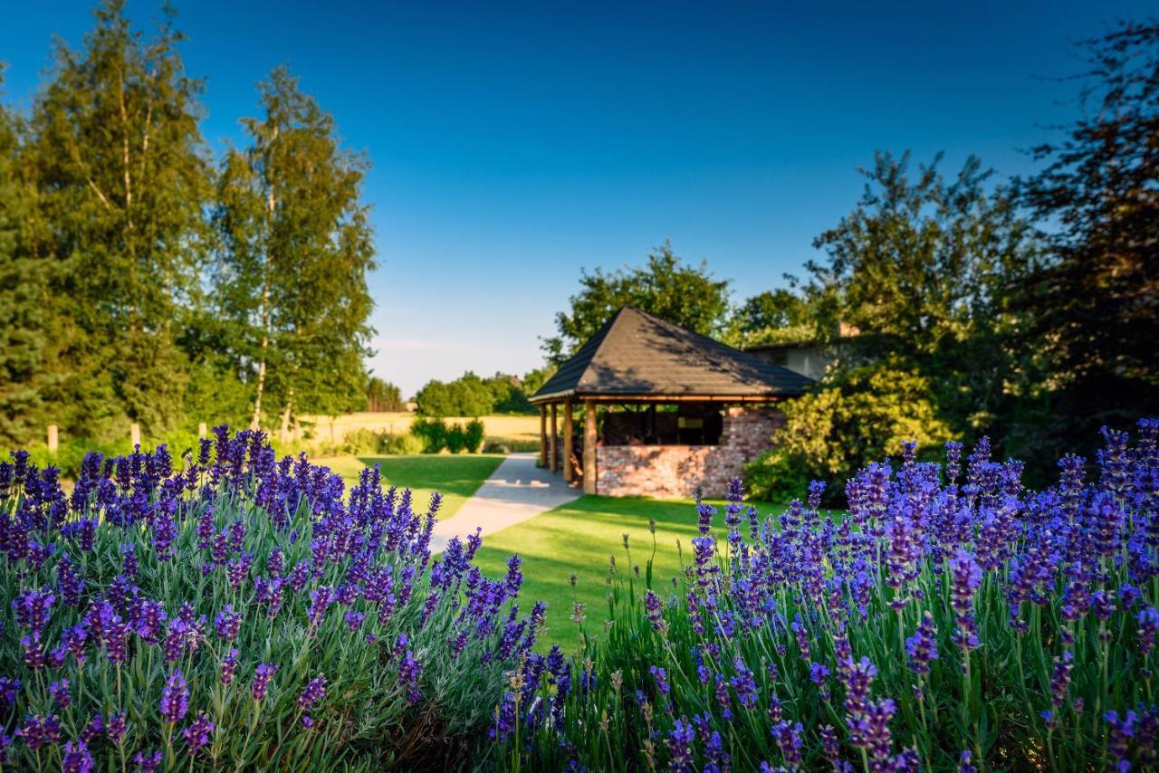 Villa Natura Zator Przeciszow Exteriör bild